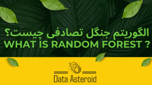 الگوریتم جنگل نصادفی چیست؟_دیتا استروید_سیارک داده